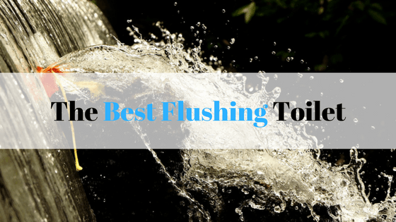 Best flush toilet review