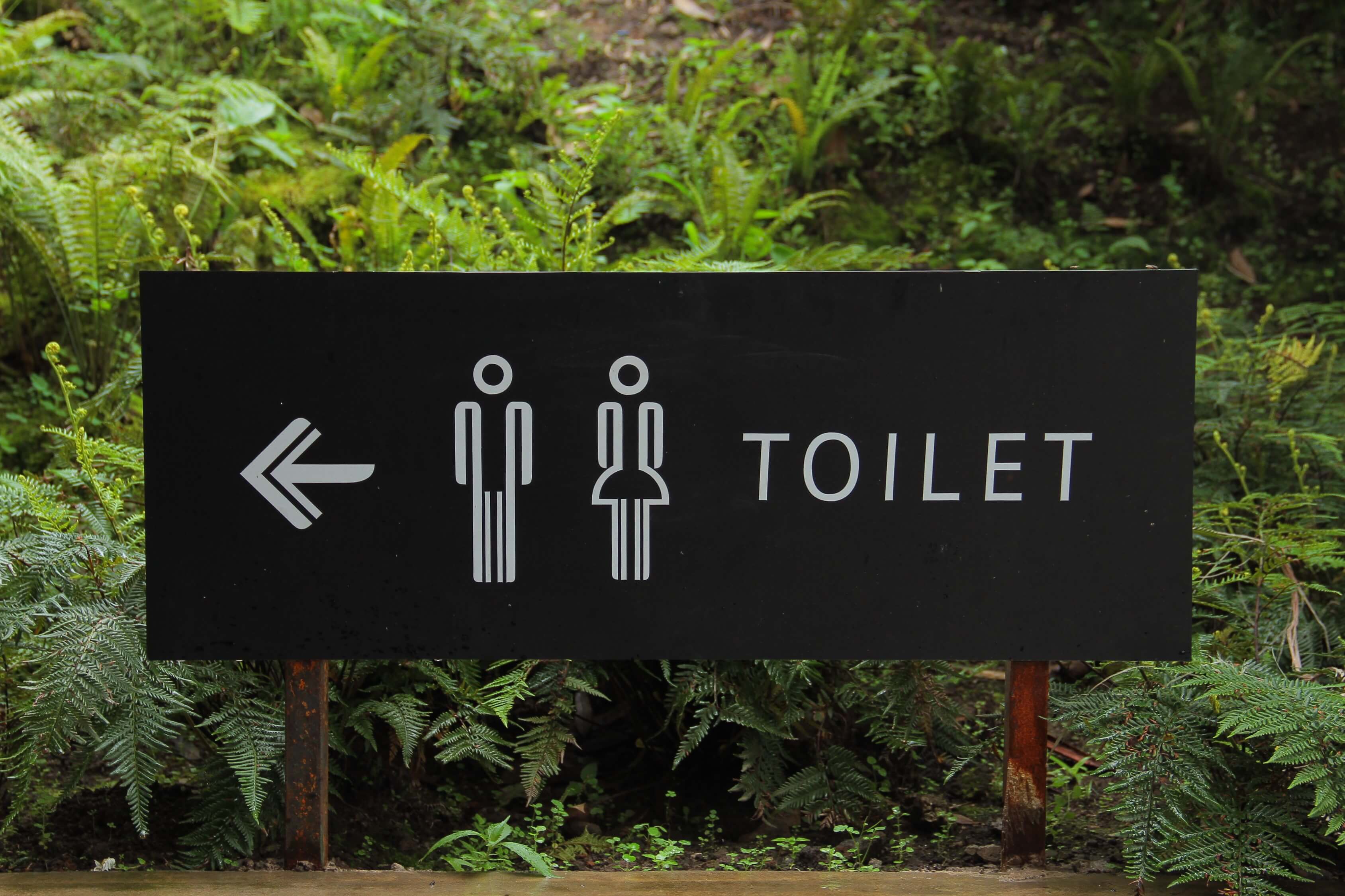 best-toilet-types