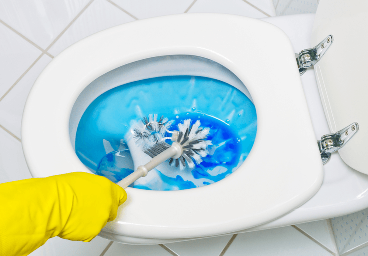 How to Clean your toilet - toilet brush cleaning