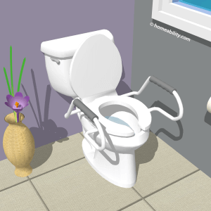 ADA-toilet-seat-with-rails