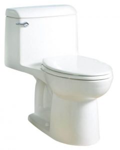 best-flushing-toilet-champion-4