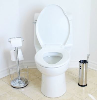 Low Flow Toilets